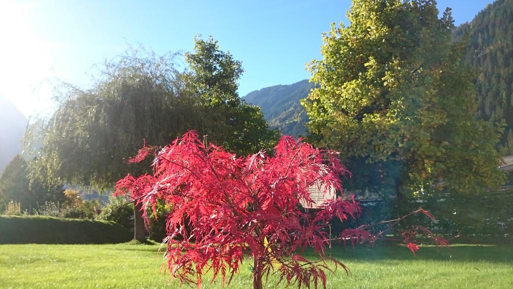 Villa Amsel Mayrhofen Εξωτερικό φωτογραφία